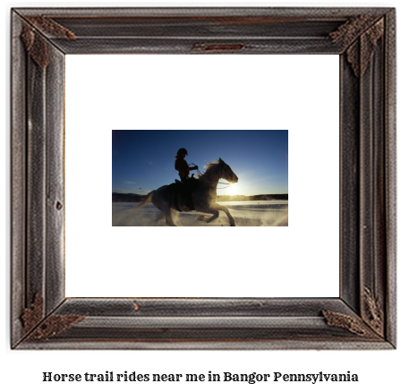 horse trail rides near me in Bangor, Pennsylvania